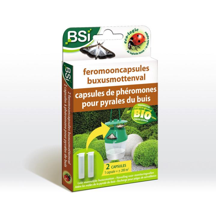 Feromooncapsule Buxusmot BSI