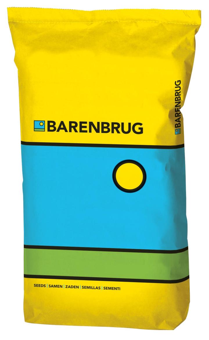 Barenbrug Rapide BE