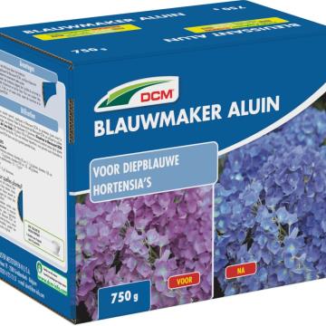 Hortensia blauw DCM