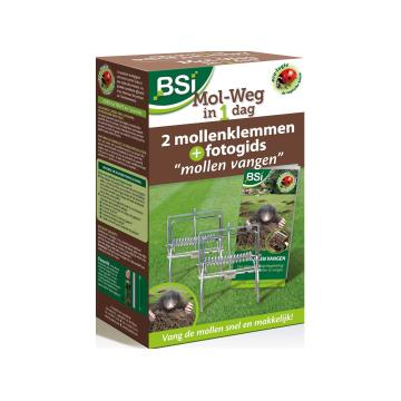 Mol-weg in 1 dag BSI