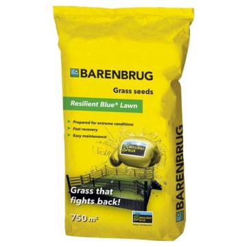 Barenbrug Resilient Blue Lawn
